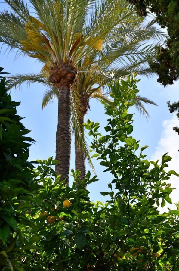 Yellow Jasper - Gemstone Getaway Marbella